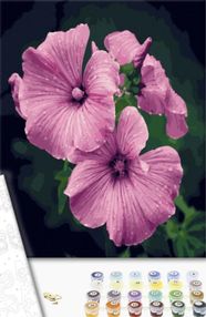 Розпис по номерах 40х50 GX40169 Петунії brushme Брашми