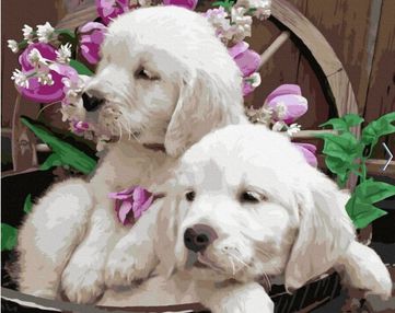 Розпис по номерах 40х50 GX40172 Маленькі цуценята brushme Брашми