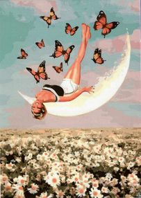 Розпис по номерах 40х50 GX40313 Місяць мрій brushme Брашми