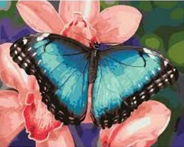 Розпис по номерах 40х50 GX40329 Крила-пелюстки brushme Брашми