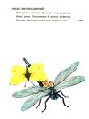 книжковий калейдоскоп незвичайні пригоди карика та валі книга  Уточнюйте  строки доставки (2-5 діб) Ціна (цена) 201.70грн. | придбати  купити (купить) книжковий калейдоскоп незвичайні пригоди карика та валі книга  Уточнюйте  строки доставки (2-5 діб) доставка по Украине, купить книгу, детские игрушки, компакт диски 4