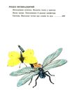 книжковий калейдоскоп незвичайні пригоди карика та валі книга Ціна (цена) 189.40грн. | придбати  купити (купить) книжковий калейдоскоп незвичайні пригоди карика та валі книга доставка по Украине, купить книгу, детские игрушки, компакт диски 4