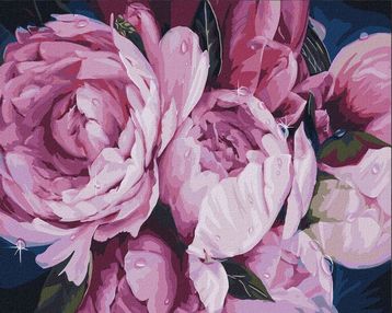 картина по номерам ідейка 40х50 КНО3116 ніжність півоній розпис по номерах  ціна