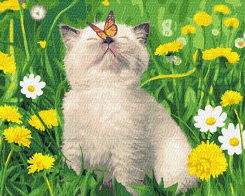 Розпис по номерах 40х50 GX36566 Котик з метеликом на носі brushme Брашми