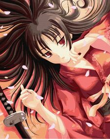 Розпис по номерах 40х50 КНО4888 Таємнича гейша "Ідейка"