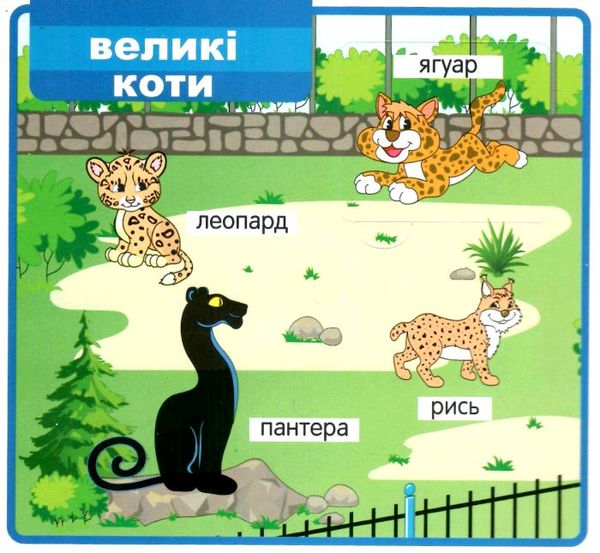 картонки мої перші слова зоопарк 33 віконця формат в6 Ціна (цена) 97.30грн. | придбати  купити (купить) картонки мої перші слова зоопарк 33 віконця формат в6 доставка по Украине, купить книгу, детские игрушки, компакт диски 1