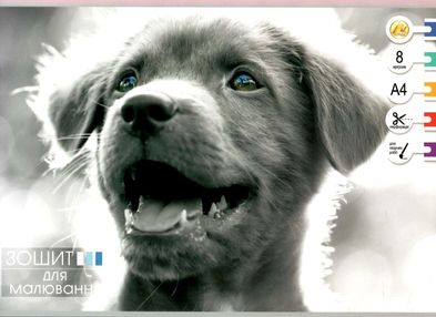 альбом для малювання 8 аркушів 120гр/м скоба малюнок в асортименті "Тетрада"