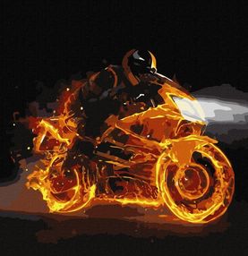 Розпис по номерах 40х40 КНО5029 Палаюча швидкість "Ідейка"