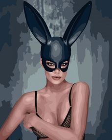 Розпис по номерах 40х50 КНО4900 Спокуслива незнайомка "Ідейка"