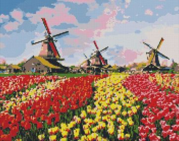 Алмазна мозаїка 40х50 АМО7112 Барвисті тюльпани Голандії "Ідейка"