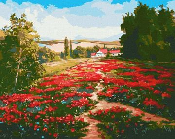 Розпис по номерах 40х50 КНО2868 Макове поле "Ідейка"