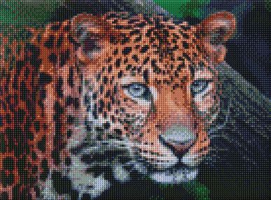 Алмазна мозаїка 30х40 АМО7203 Дикий погляд "Ідейка"