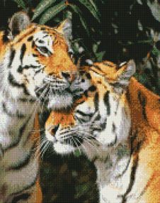 Алмазна мозаїка 40х50 АМО7205 Щире тигрове кохання "Ідейка"