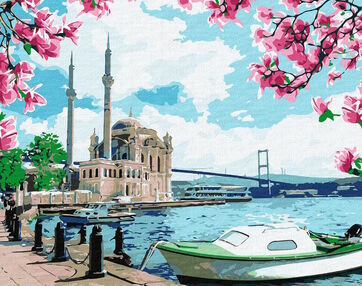 Розпис по номерах 40х50 КНО2757 Яскравий Стамбул "Ідейка"