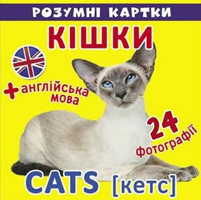 розумні картки кішки 12 карток розумні картки кішки 12 карток