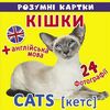розумні картки кішки 12 карток Ціна (цена) 11.69грн. | придбати  купити (купить) розумні картки кішки 12 карток доставка по Украине, купить книгу, детские игрушки, компакт диски 0