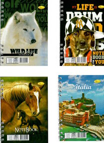 блокнот а6 40 аркушів лакована обкладинка пружина збоку в асортименті