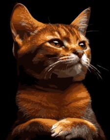 Розпис по номерах 40х50 AH1244 Рудий характер на чорному фоні "Strateg"