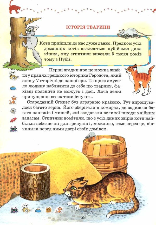 домашні улюбленці Ціна (цена) 223.90грн. | придбати  купити (купить) домашні улюбленці доставка по Украине, купить книгу, детские игрушки, компакт диски 3