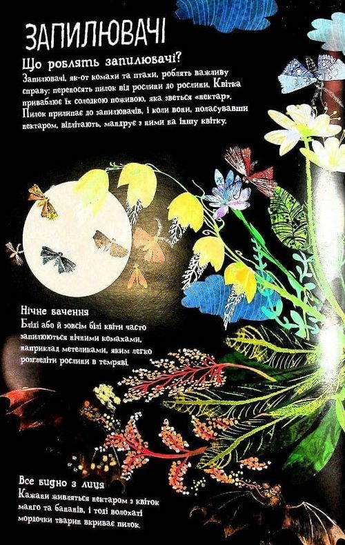 велика книга квітів  Уточнюйте  строки доставки (2-5 діб) Ціна (цена) 338.60грн. | придбати  купити (купить) велика книга квітів  Уточнюйте  строки доставки (2-5 діб) доставка по Украине, купить книгу, детские игрушки, компакт диски 6