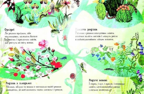велика книга квітів  Уточнюйте  строки доставки (2-5 діб) Ціна (цена) 338.60грн. | придбати  купити (купить) велика книга квітів  Уточнюйте  строки доставки (2-5 діб) доставка по Украине, купить книгу, детские игрушки, компакт диски 4