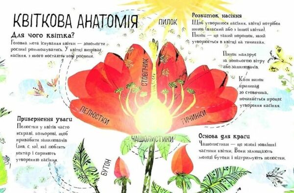 велика книга квітів  Уточнюйте  строки доставки (2-5 діб) Ціна (цена) 338.60грн. | придбати  купити (купить) велика книга квітів  Уточнюйте  строки доставки (2-5 діб) доставка по Украине, купить книгу, детские игрушки, компакт диски 5