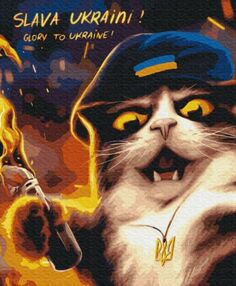 Розпис по номерах 40х50 BS53120 Котик повстанець brushme Брашми