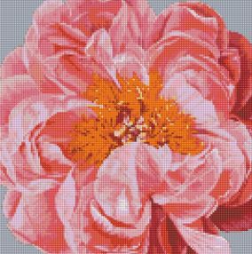 Алмазна мозаїка 40х40 АМО7079 Pink kiss "Ідейка"