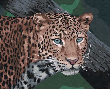 Розпис по номерах 40х50 КНО4300 Дикий погляд "Ідейка"