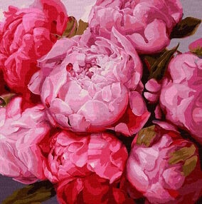 Розпис по номерах 50х50 КНО2986 Тендітні півонії "Ідейка"