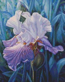 Алмазна мозаїка 40х50 АМО7285 Весняний ірис "Ідейка"