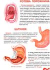 велика книжка анатомія людини Ціна (цена) 46.11грн. | придбати  купити (купить) велика книжка анатомія людини доставка по Украине, купить книгу, детские игрушки, компакт диски 1