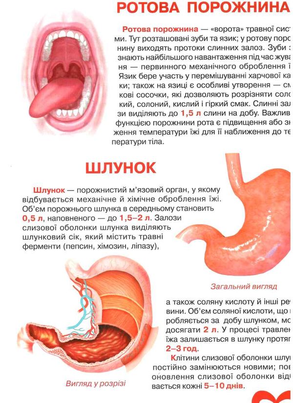 велика книжка анатомія людини Ціна (цена) 46.11грн. | придбати  купити (купить) велика книжка анатомія людини доставка по Украине, купить книгу, детские игрушки, компакт диски 1