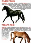 Велика книжка коні і поні Ціна (цена) 34.60грн. | придбати  купити (купить) Велика книжка коні і поні доставка по Украине, купить книгу, детские игрушки, компакт диски 1