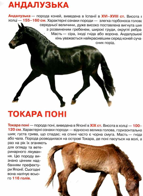 Велика книжка коні і поні Ціна (цена) 34.60грн. | придбати  купити (купить) Велика книжка коні і поні доставка по Украине, купить книгу, детские игрушки, компакт диски 1