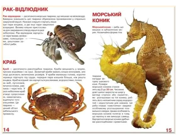 велика книжка мешканці морів і океанів  Уточнюйте  строки доставки (2-5 діб) Ціна (цена) 44.00грн. | придбати  купити (купить) велика книжка мешканці морів і океанів  Уточнюйте  строки доставки (2-5 діб) доставка по Украине, купить книгу, детские игрушки, компакт диски 1