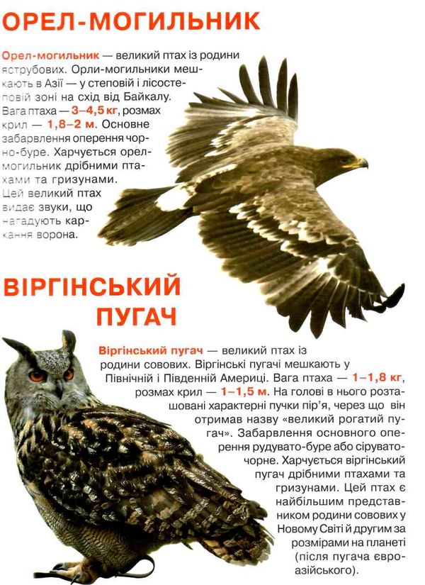 велика книжка хижі птахи 9786177352494 Ціна (цена) 46.12грн. | придбати  купити (купить) велика книжка хижі птахи 9786177352494 доставка по Украине, купить книгу, детские игрушки, компакт диски 1