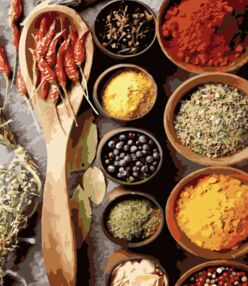 Розпис по номерах 40х50 MZ007 Набір спецій на кольоровому фоні "Strateg"