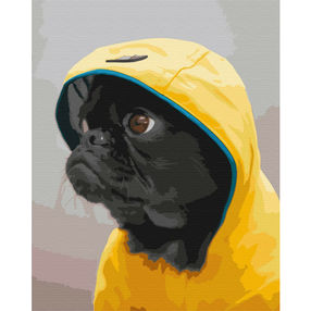 Розпис по номерах 40х50 BS52614 Мопс в худі brushme Брашми