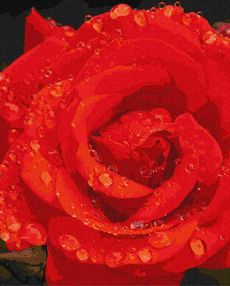 Розпис по номерах 40х50 КНО3207 Троянда в діамантах "Ідейка"