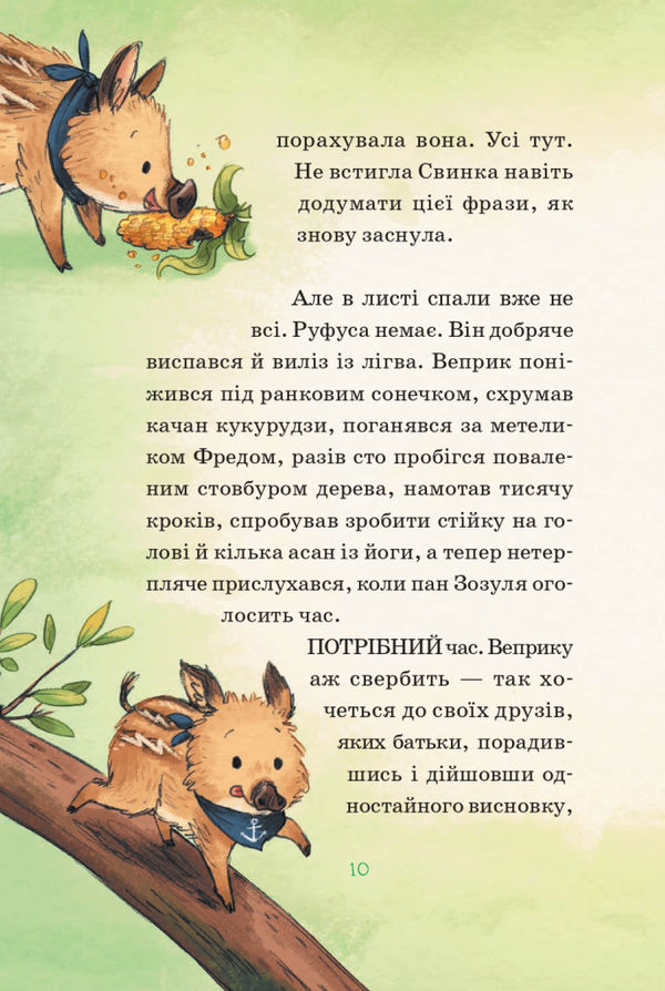 герої дикого лісу порятунок від смутку Ціна (цена) 170.20грн. | придбати  купити (купить) герої дикого лісу порятунок від смутку доставка по Украине, купить книгу, детские игрушки, компакт диски 1
