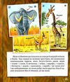 киці-мандрівниці страшно цікава казка книга 3 Ціна (цена) 197.49грн. | придбати  купити (купить) киці-мандрівниці страшно цікава казка книга 3 доставка по Украине, купить книгу, детские игрушки, компакт диски 2