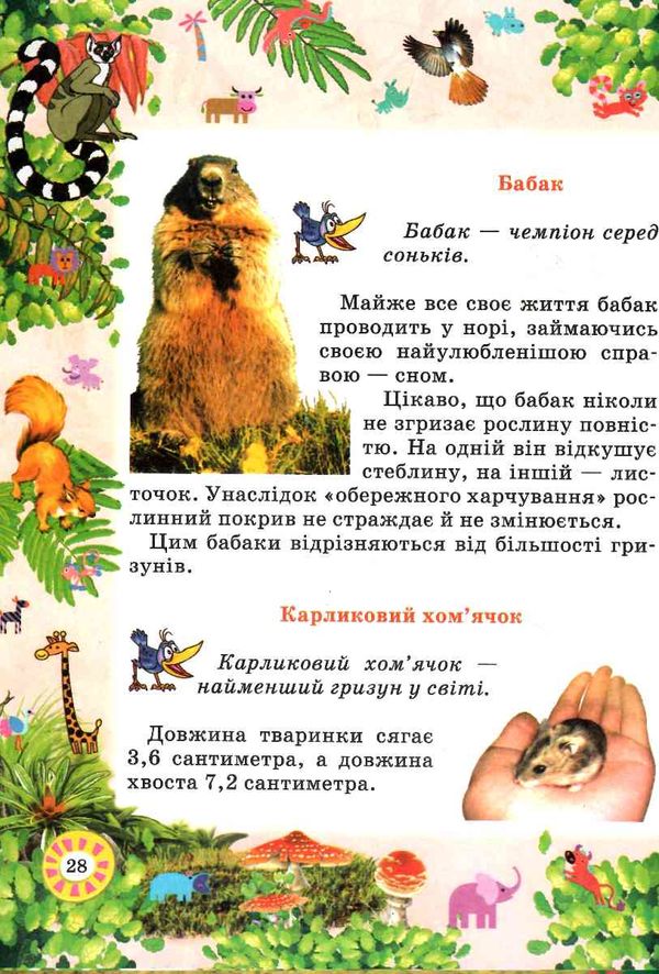 чемпіони серед тварин Ціна (цена) 209.60грн. | придбати  купити (купить) чемпіони серед тварин доставка по Украине, купить книгу, детские игрушки, компакт диски 4