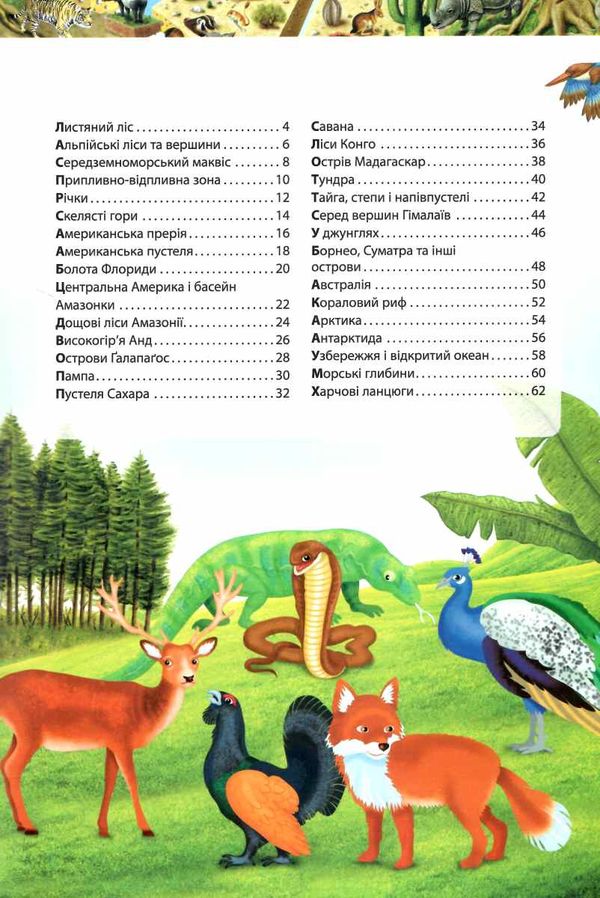 енциклопедія дитяча дивовижний світ тварин Ціна (цена) 70.85грн. | придбати  купити (купить) енциклопедія дитяча дивовижний світ тварин доставка по Украине, купить книгу, детские игрушки, компакт диски 2