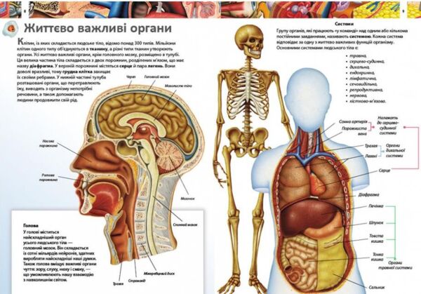 енциклопедія дитяча тіло людини Ціна (цена) 103.74грн. | придбати  купити (купить) енциклопедія дитяча тіло людини доставка по Украине, купить книгу, детские игрушки, компакт диски 2
