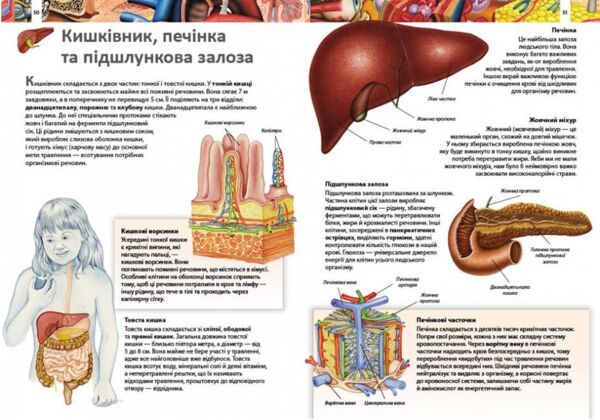 енциклопедія дитяча тіло людини Ціна (цена) 103.74грн. | придбати  купити (купить) енциклопедія дитяча тіло людини доставка по Украине, купить книгу, детские игрушки, компакт диски 4