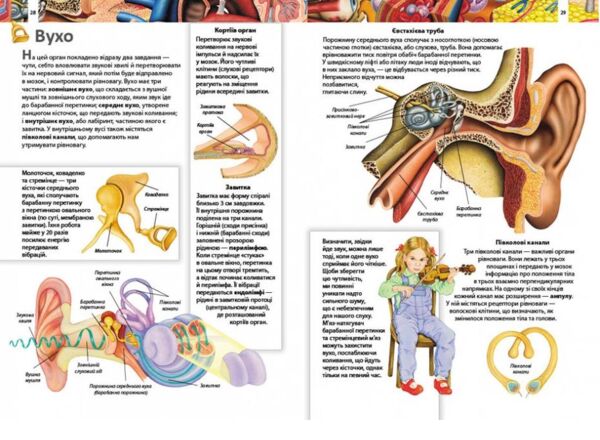 енциклопедія дитяча тіло людини Ціна (цена) 103.74грн. | придбати  купити (купить) енциклопедія дитяча тіло людини доставка по Украине, купить книгу, детские игрушки, компакт диски 3