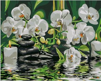 Розпис по номерах 40х50 BS29693 Спокій для орхідей brushme Брашми