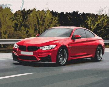 Розпис по номерах 40х50 BS52619 Спортивна машина brushme Брашми