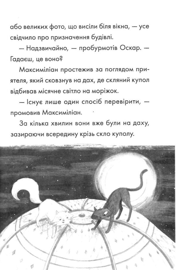 макс кіт детектив портрет примари Ціна (цена) 177.00грн. | придбати  купити (купить) макс кіт детектив портрет примари доставка по Украине, купить книгу, детские игрушки, компакт диски 2